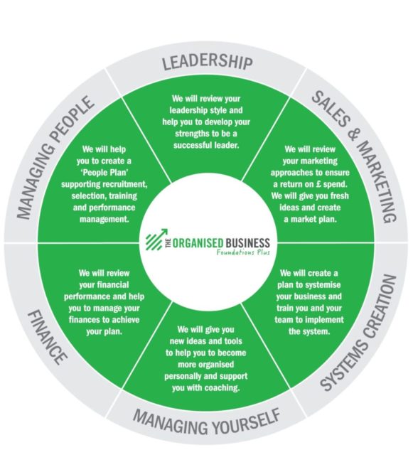 Foundations Plus Wheel